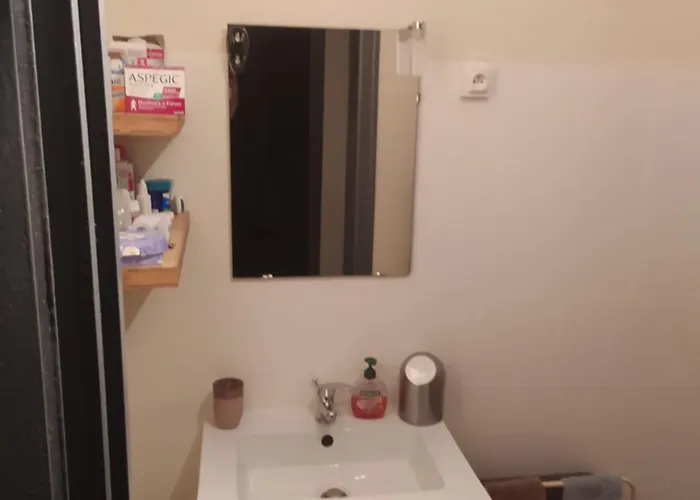 Entire For Rent شقة غرونوبل